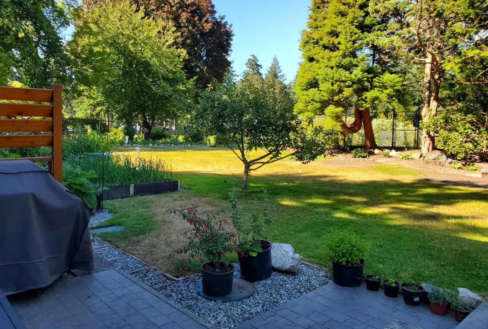 Lovely 1 Bedroom Suite Near Town Victoria Apartment
